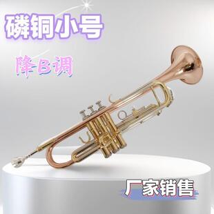 宫泽风学生初学降B调小号乐器磷铜西洋铜管成人乐队演奏