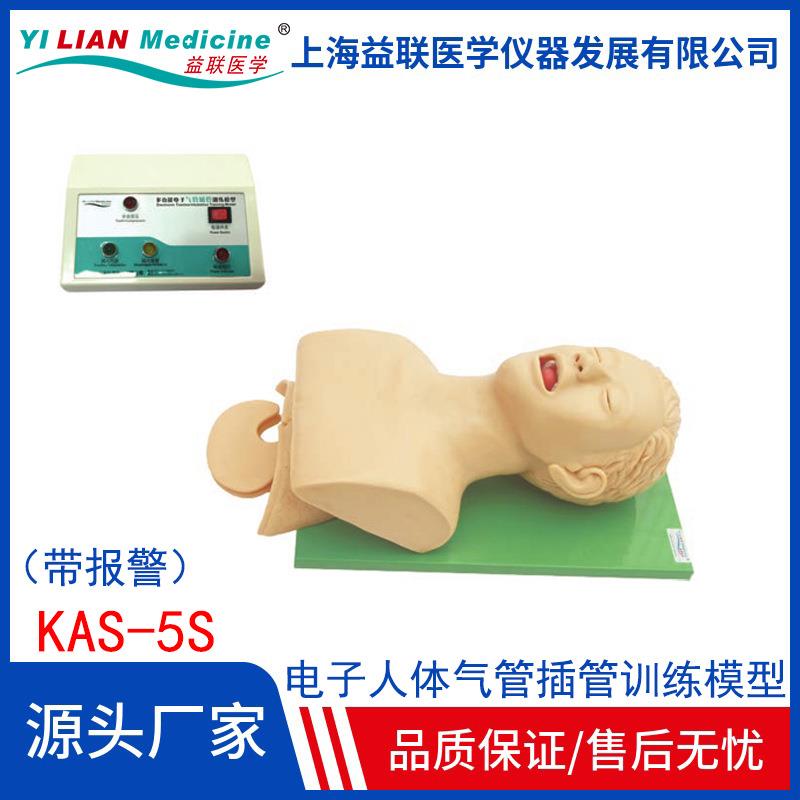 5S电子人体气管插管训练模型(带报警)气管插管训练模型报警音