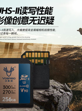 沣标沃斯耐sd卡32G存储卡128G相机通用SD内存卡64g佳能富士尼康相机专用512G闪存卡256GB高速SDXC/SDHC