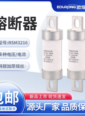 新能源充电桩熔断器RSM3216750V100-200A陶瓷熔管50KA 32X116直流