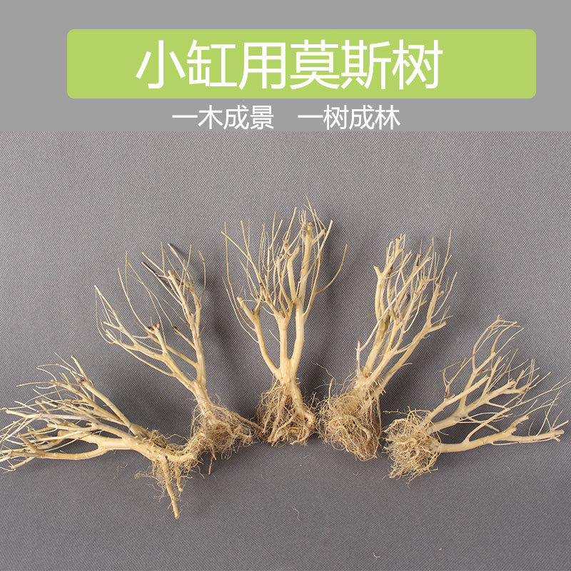 水草鱼缸造景树根天然莫斯树林中小型生态水族箱装饰沙盘小树包邮