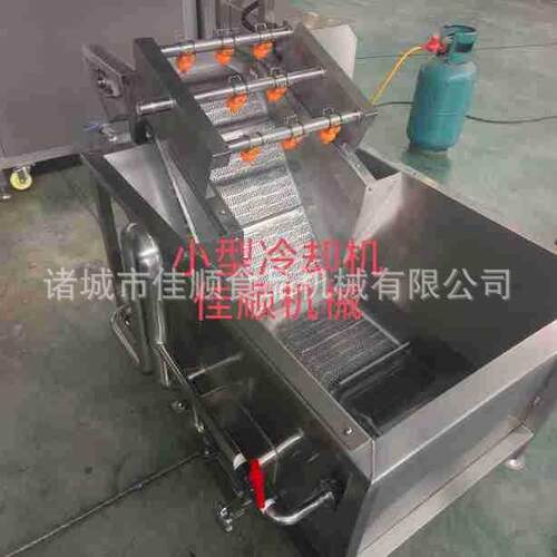 全自动冷水机红薯片喷淋式气泡清洗机果蔬干气泡清洗机器冷却机