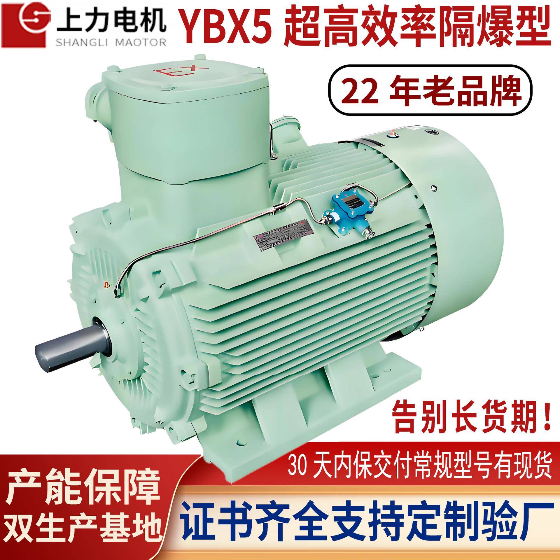上海YBX5-315M-4132W防爆电机防爆证支持验厂YB2替换方案双