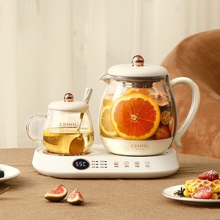 CEOOL养生壶小型办公室迷你恒温烧水壶煮茶器花茶壶套装2024新款
