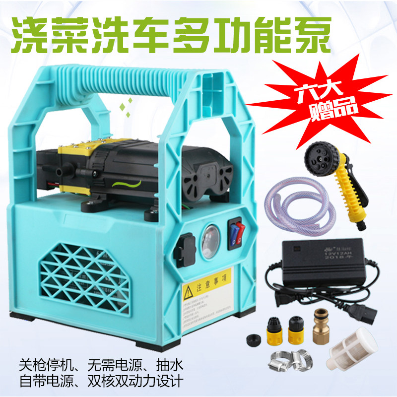 充电式自吸抽水浇菜泵浇花水泵户外取水泵喷雾器12伏打药机双核泵