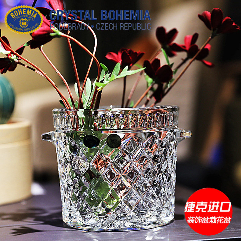 捷克BOHEMIA水晶玻璃小号花盆花卉植物黄金葛花瓶栽创意室内花盆