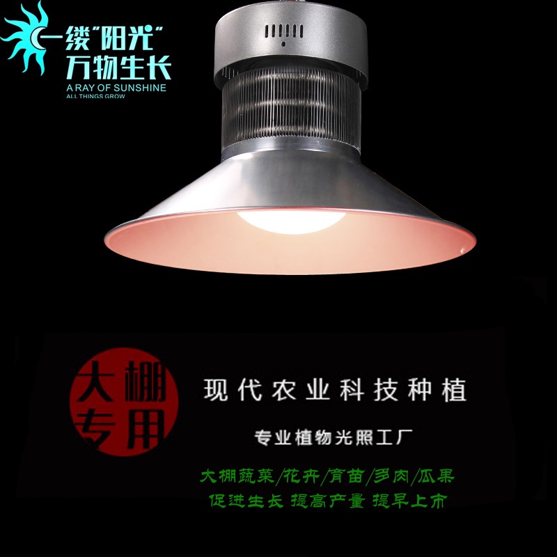 wega贵翔全光谱植物生长灯仿太阳光多肉补光灯大功率LED植物吊灯
