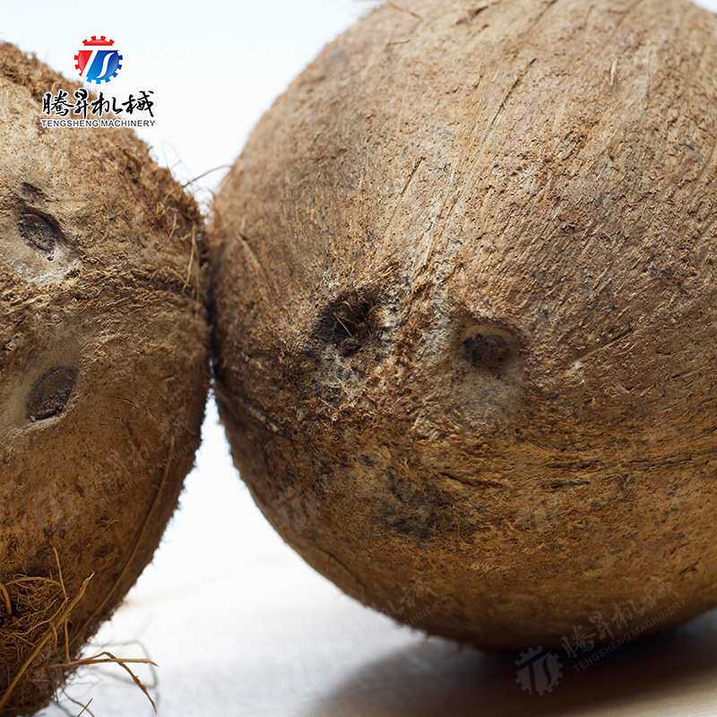新款电动椰子剥壳去皮机 椰子去皮机 海边椰皇加工 厂家直销