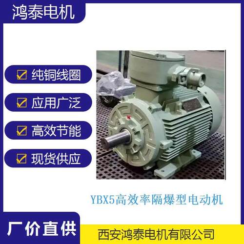 鸿泰节能防爆三相异步电机tYBX5-315S-10t45KWt380Vt运行稳定可靠