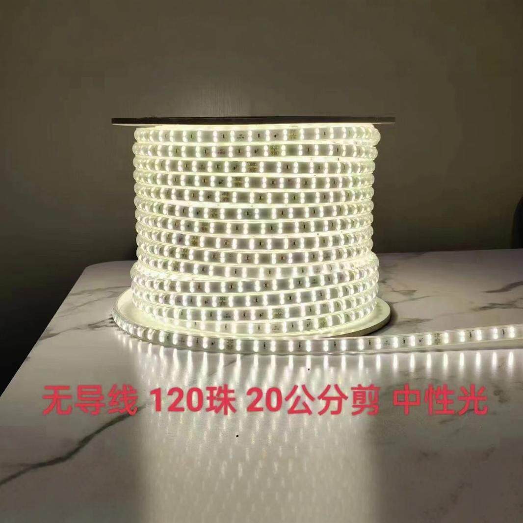 led灯带24v36v220v卷100米戶外防水工程工地下室隧道养殖照明灯条