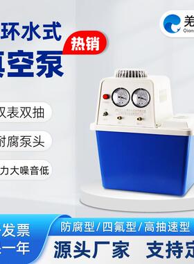 SHZ-DIII型循环水真空泵 无油静音实验室防腐抽气泵 双表双头抽气