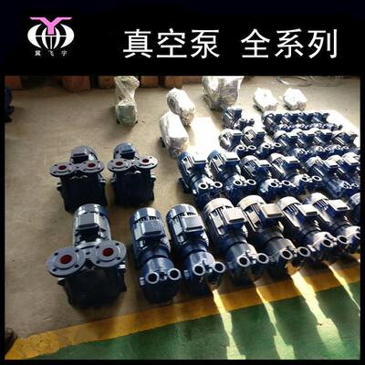 飞宇泵业 SZB SZ 2BV 水环式真空泵 真空提取真空浸渍真空蒸馏