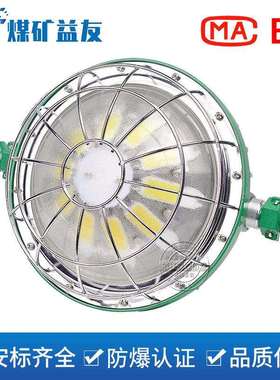 DGS55/127L(A)矿用隔爆型LED巷道灯55W大功率煤矿照明灯LED防爆灯