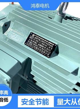 鸿泰变频大外圆电机YVFE4-3553-10t250KWt380V/660Vt制造工艺先进
