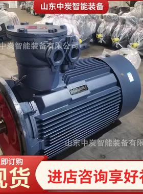 体积小 YBSD-250/125-4/8G（3300）矿用隔爆型双速三相异步电动机