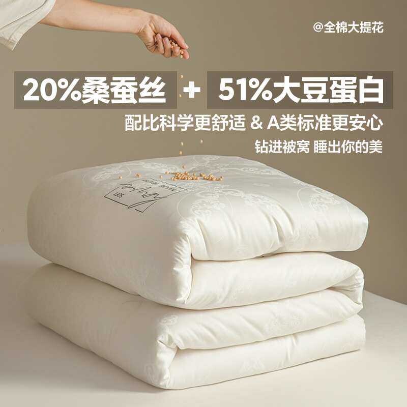 A类纯棉桑蚕丝大豆被子60S提花被芯冬季加厚保暖拉链子母春秋被芯