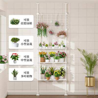 批顶天立地花架客厅玄关简约落地多层阳台置物架吊兰多肉室内花