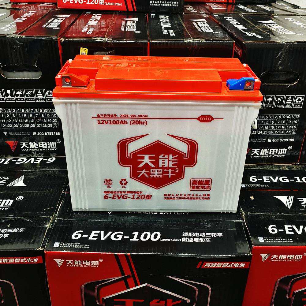 宁波天能大黑牛蓄电池6EVG120三轮车环卫车电动叉车平车电瓶
