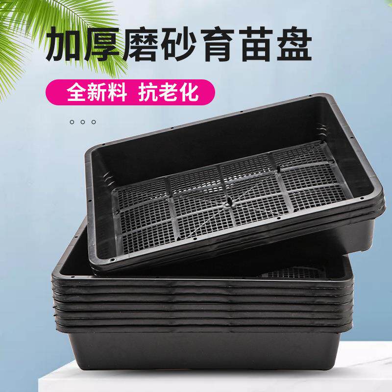 育苗盆多肉盘加厚塑料树脂叶插播种闷养箱黑方托架托盘整理筐盘