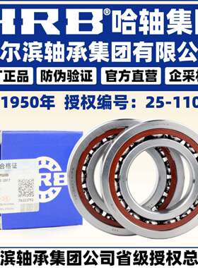 HRB 哈尔滨轴承 7318 7319 7320 CTA ACTA P4 DB DT DF