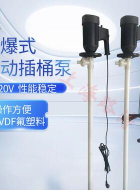 HP-EX2-V+PVDF-1000隔爆调速电动抽液泵耐酸手提油桶泵化工插桶泵
