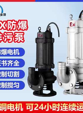 BQW200-400-13-30潜水排污泵WQB国标EX加油站煤矿防爆潜污泵