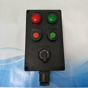 A2B1K1D2LFZC83 A2D2L现场防爆操作柱 A2D2K1LFZC BZC83