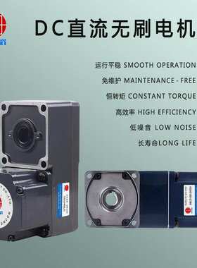 雨田25W低压直流无刷电机L转角减速机2BLD25-24GN-30S+2GN20LC