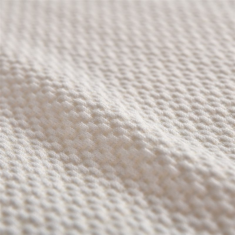 45D高密度加硬海绵垫记忆棉榻榻米床垫软垫家用学生宿舍垫被租房