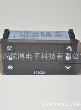 冷库专用水冷机组温控器EC6020制冷化霜风机水泵双探头超限报警