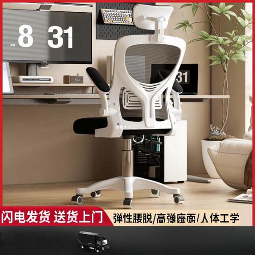电脑椅久坐家用办公椅职员宿舍电竞座椅人体工学学习椅书桌椅
