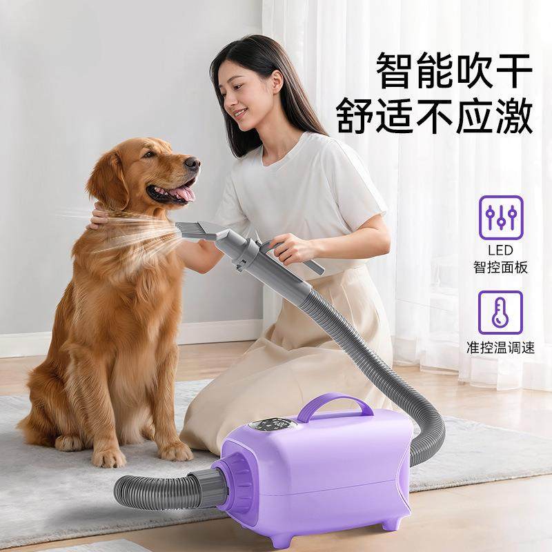 智能宠物吹水机狗狗烘干机美毛机吹风机大功率低噪音宠物洗澡神器,电子元器件市场,其它元器件,淘宝优惠券,粉丝福利购,淘宝优惠卷