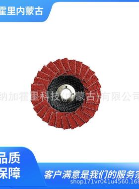 ICHIGUCHI市口磨砂轮百叶轮SPCD10015-36/40SPCD10015-60/80