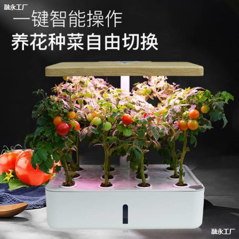 家庭智能蔬菜种植机室内无土栽培成套设备水培草莓种植箱树脂花盆
