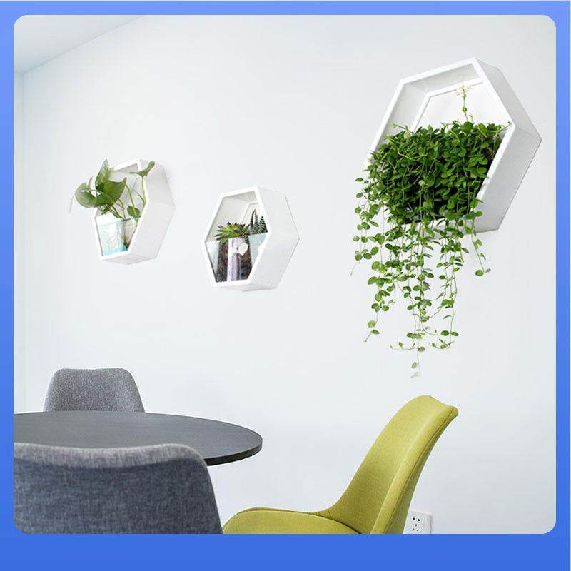 客厅餐厅墙面装饰墙壁挂件水培绿萝壁挂花盆挂墙绿植,节庆用品/礼品,新娘配件,淘宝优惠券,粉丝福利购,淘宝优惠卷