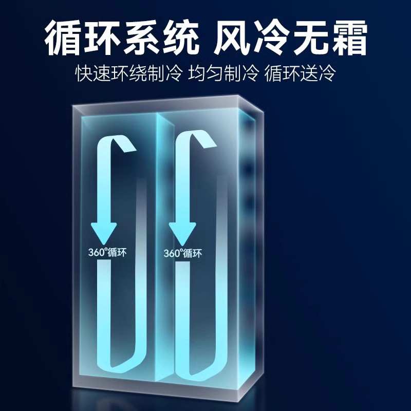 啤酒饮料展示柜网红酒水冰柜立式冷藏柜商用双开门酒吧冰箱冰柜