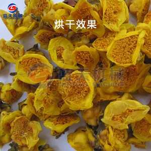 广西金花茶烘干机小型家用 金莲花黄色山茶烘干箱 花茶烘干机设备