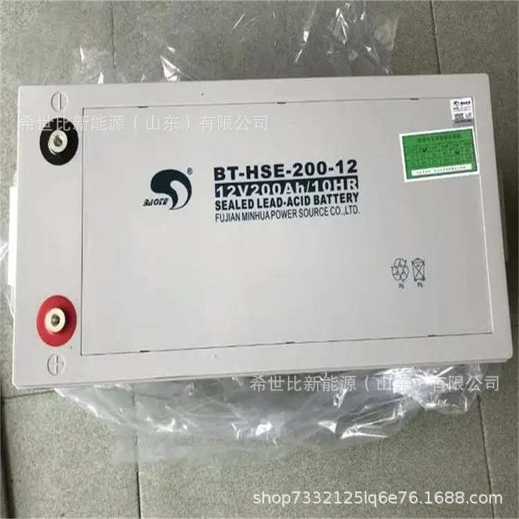 赛特蓄电池BT-HSE-65-12通讯及电力设备12V65AH发电厂/变电站