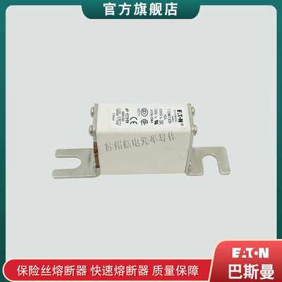 快速熔断器保险丝170M1308 1310 1311 1312 1313 1314 1315 1316