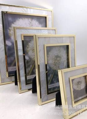 轻奢金板3寸，6寸7寸，，8寸色。10寸贝壳金属相框,，样间xy1201-