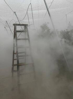 全自动喷果园主弥雾机打药雾森系统大棚加湿降温打药设QGR备淋灌