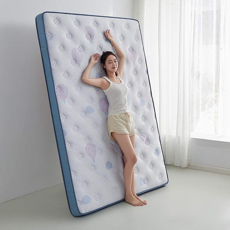 新款乳胶海绵刺绣款床垫家用宿舍酒店柔软舒适记忆床上用品