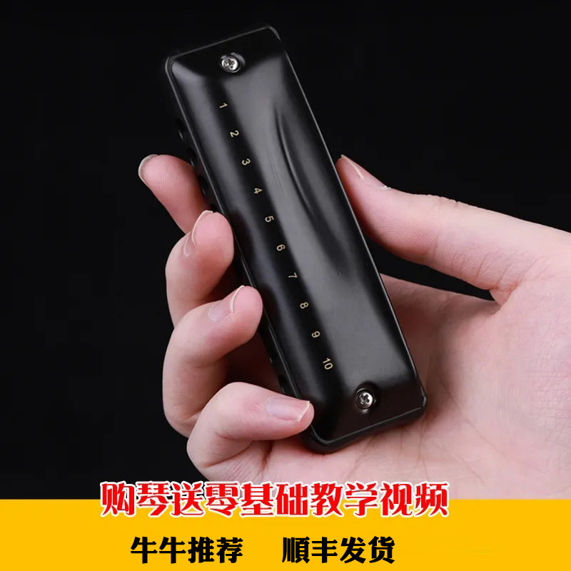 嘉德瑞布鲁斯蓝调十孔口琴10孔C调NinJa忍者初学者演奏级paddy