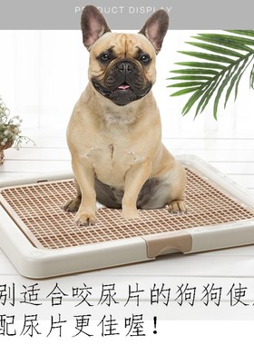 Smart Paws 掀开式中号泰迪宠物厕所博美网格狗厕所