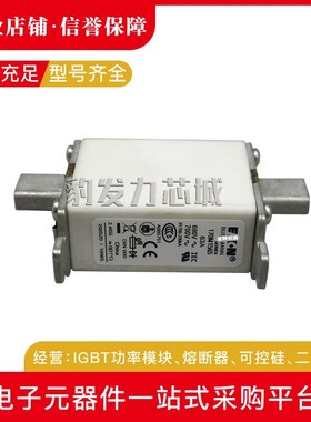 170M1565D/1566D/1567D/1568D/1569D/1570D/1571D/1572D熔断器