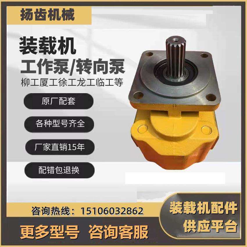 柳工30E 40B 50C 855 856 850H装载机铲车液压齿轮泵工作泵转向泵