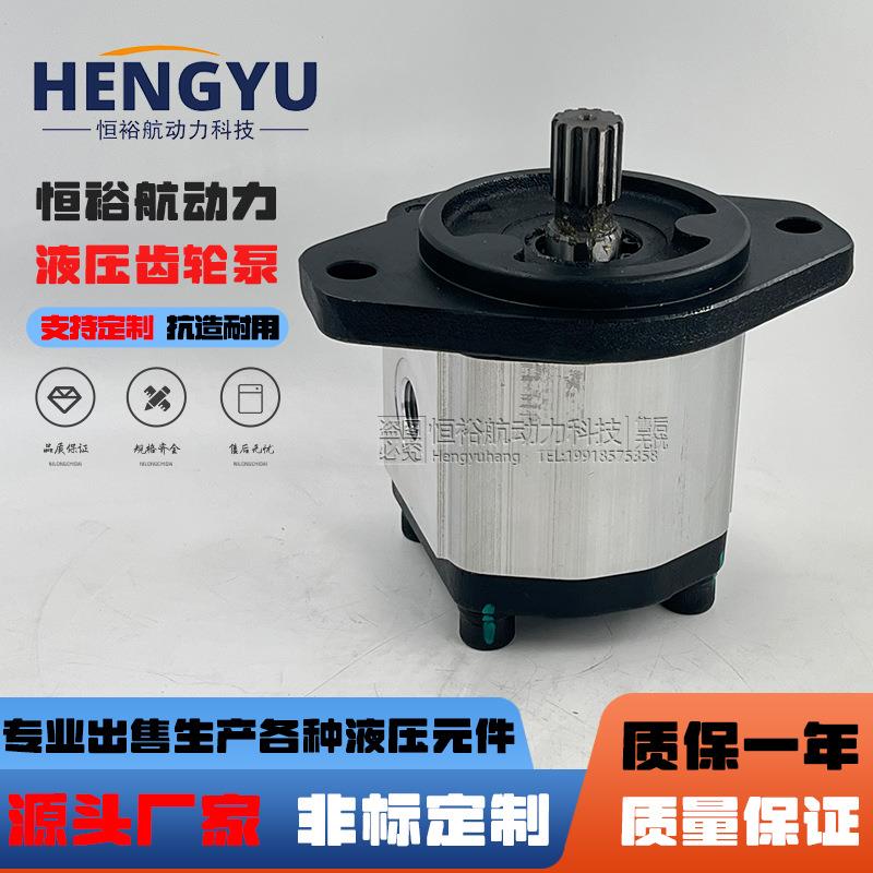 博顿高压油泵Boden齿轮泵BHP2.5A1D30S0R1BHP2.5A0S23S3L0液压泵