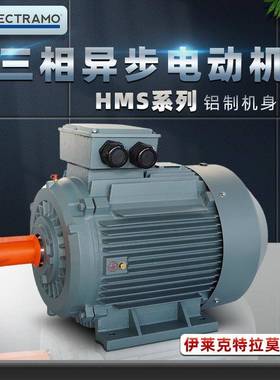 现货比利时ELECTRAMO三相异步感应电动机MS系列立式0.37KW电机