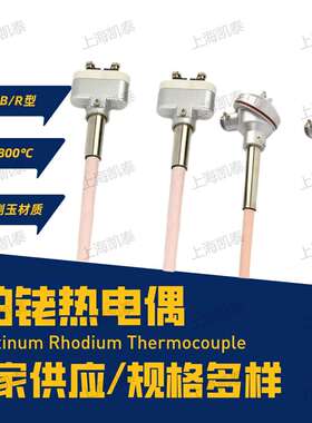 S型B型铂铑热电偶WRP-130/坩埚炉工业用耐高温1600度刚玉热电偶