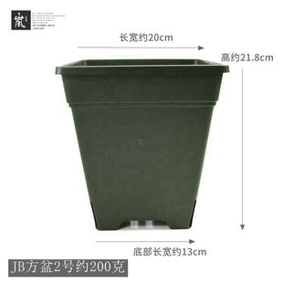 绣球虎尾兰 套餐 适合月季 12个装 伦塑料盆种植 JB方足盆2号